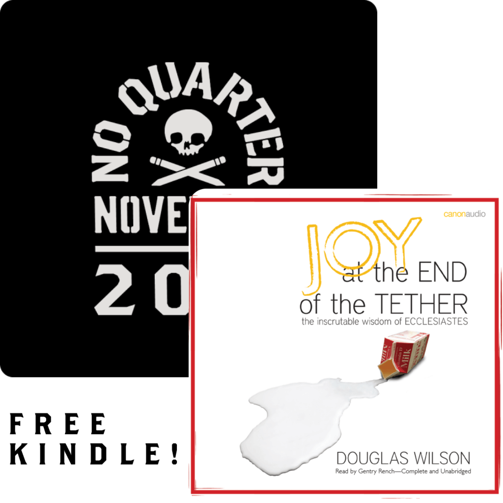 New No Quarter November Post + Free Kindle: Joy at the End of the Tether